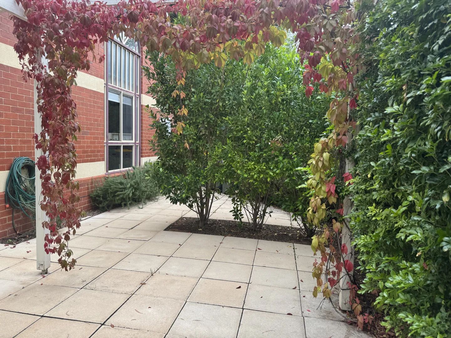 Additional image 11 of 1 Wingillie Street, Mildura VIC 3500