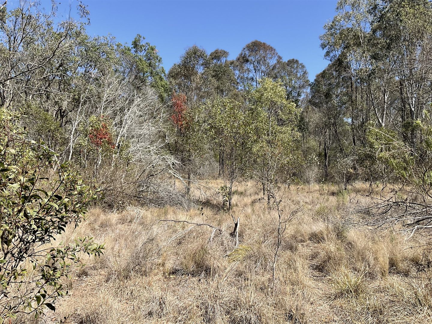 Lot 59 Kingaroy Cooyar Road, Brooklands QLD 4615, Image 1