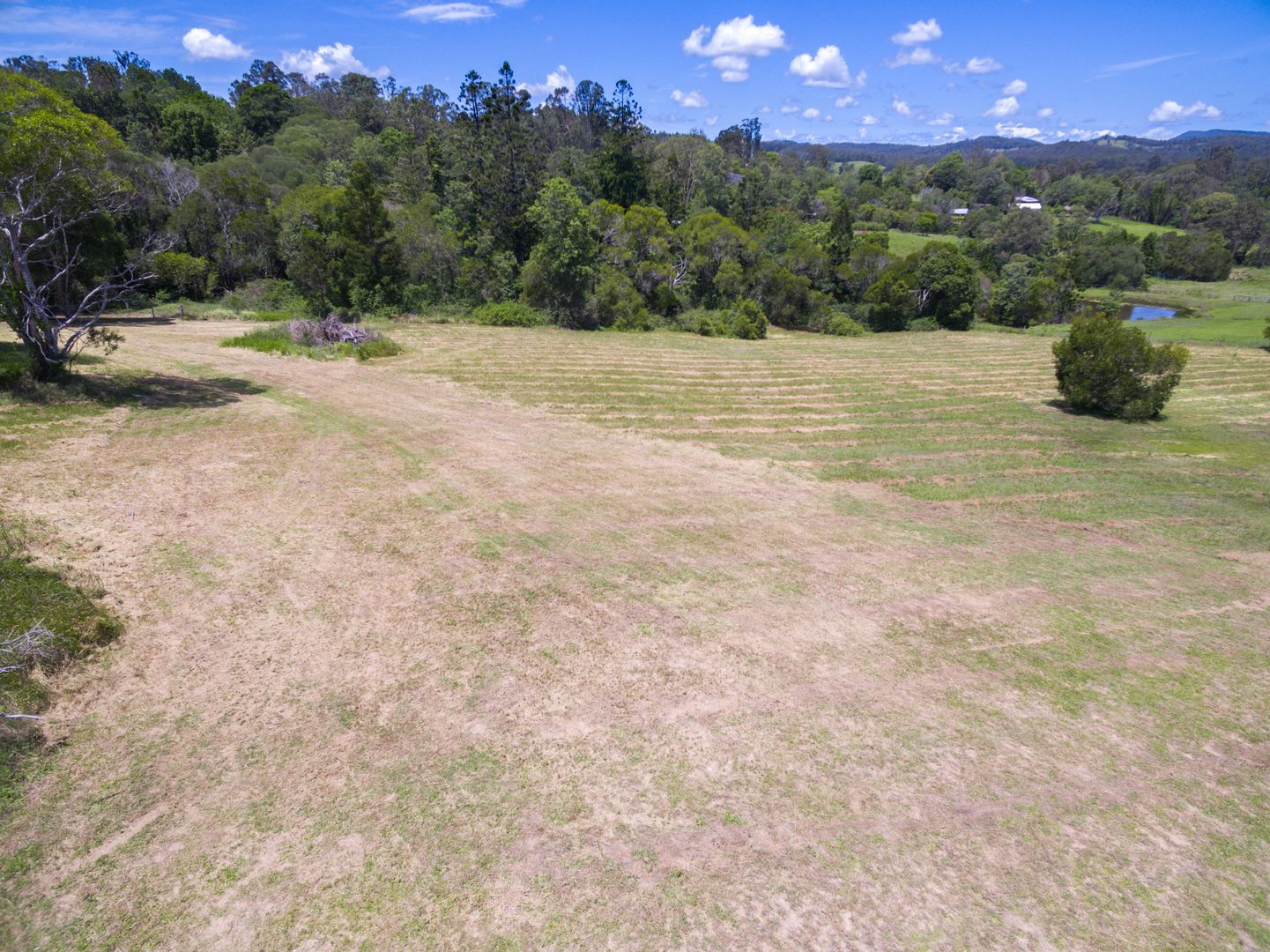 49 Donnellys Road, Ridgewood QLD 4563, Image 1