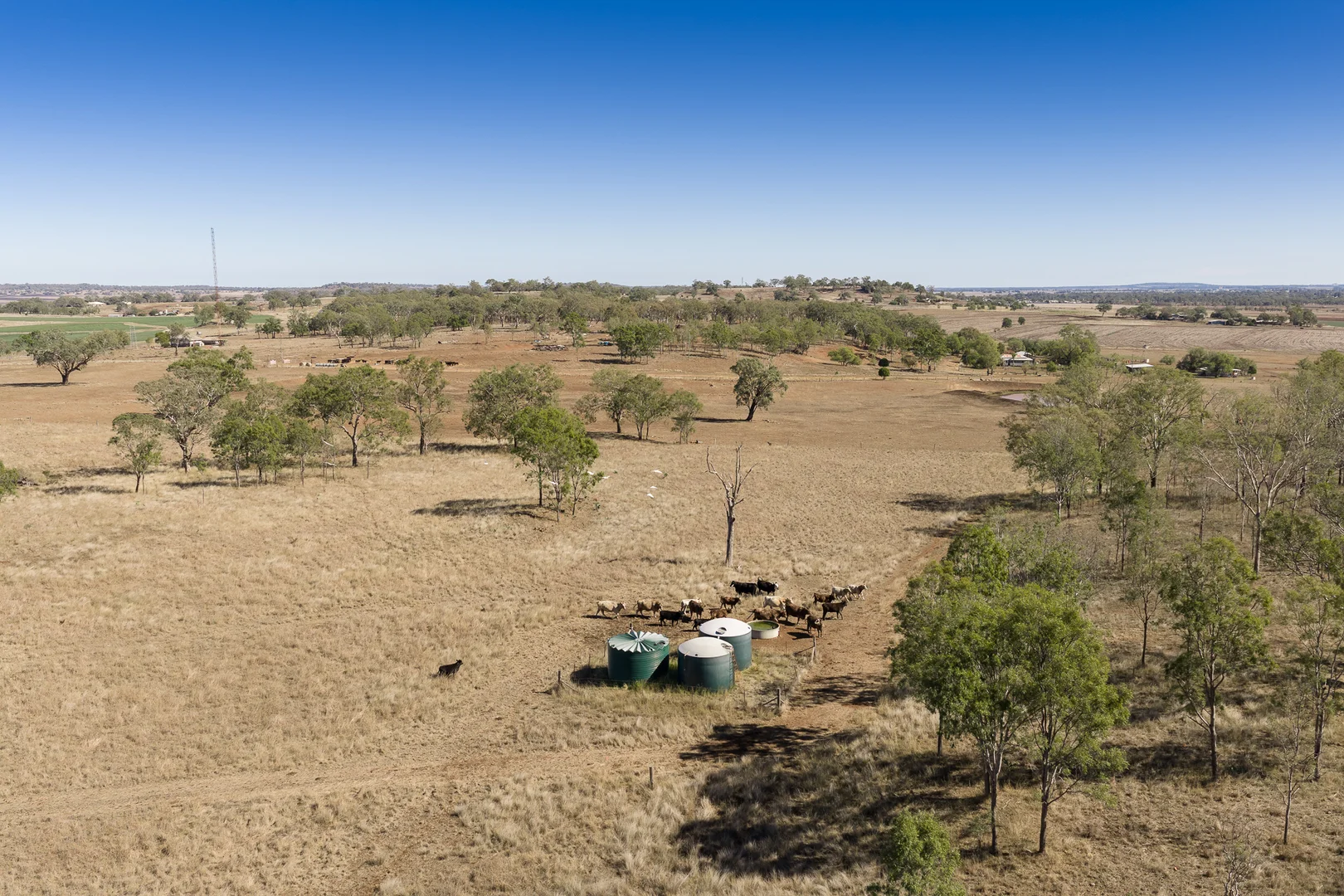 Image 25