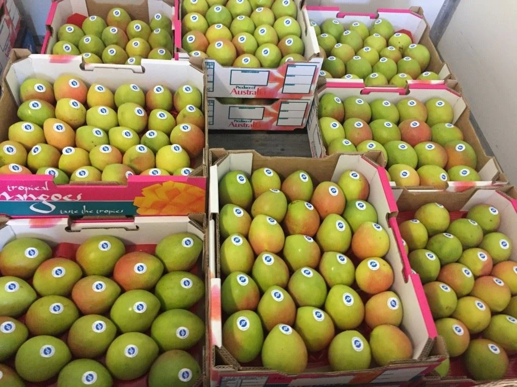 Additional image 8 of Bowen QLD 4805