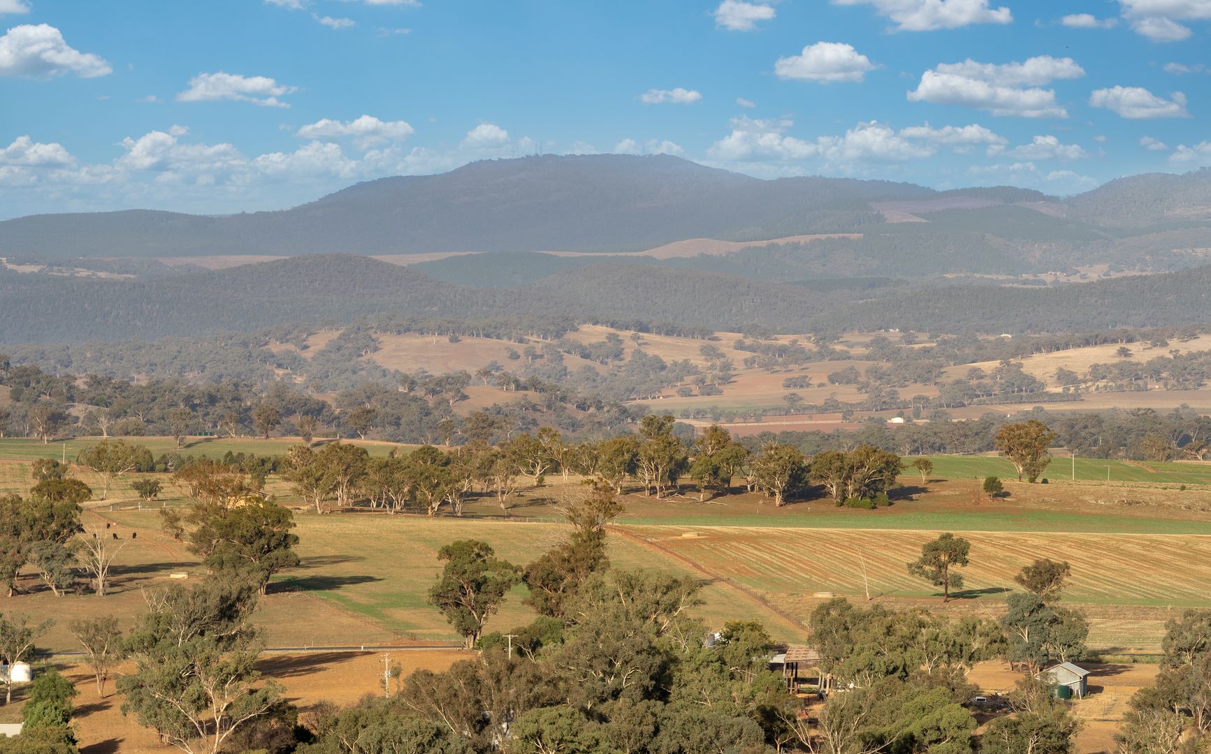 Cudal NSW 2864 House for Sale 310,000 Domain