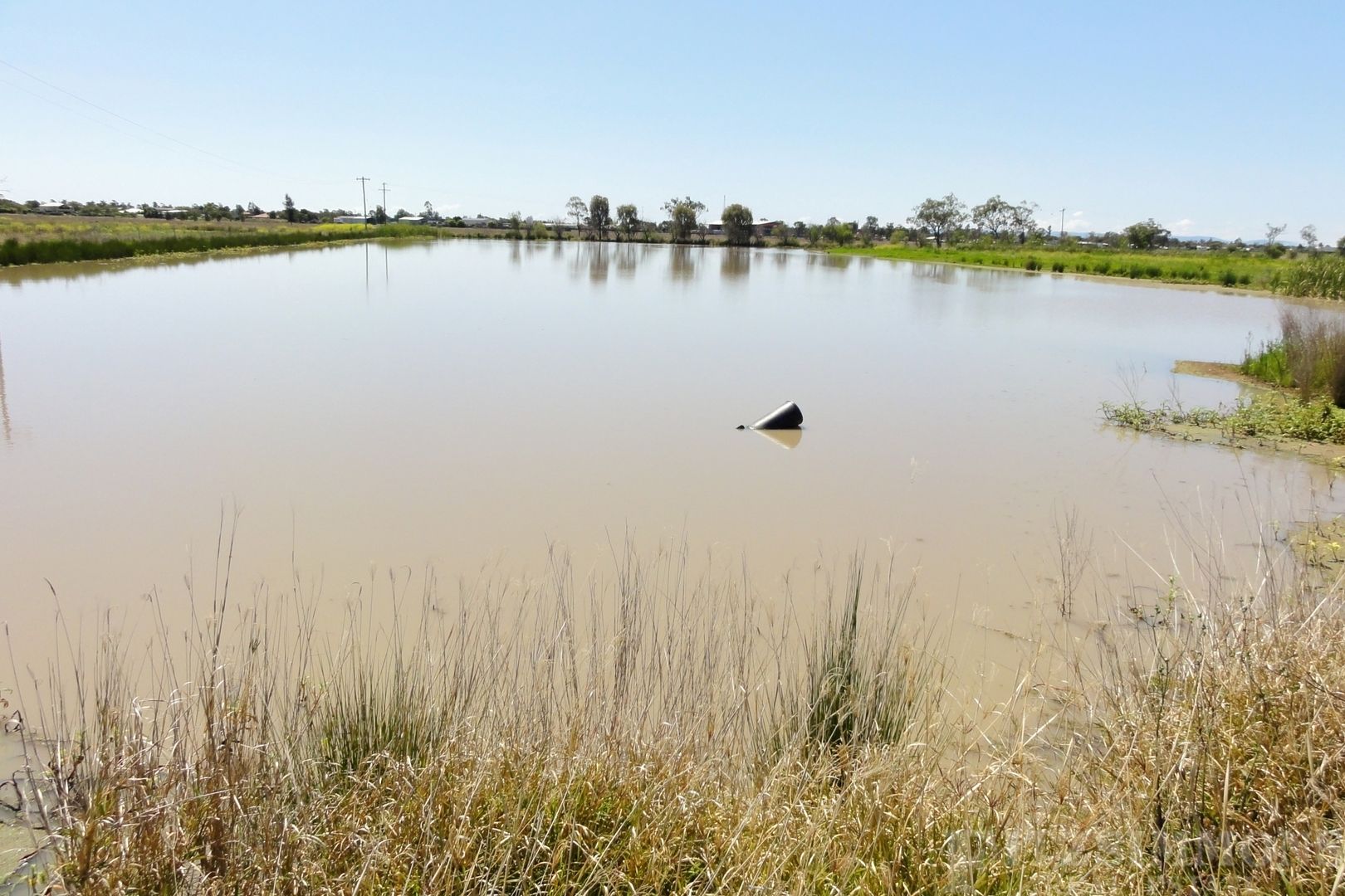 171 Sandalwood Avenue, Dalby QLD 4405 House for Sale Domain