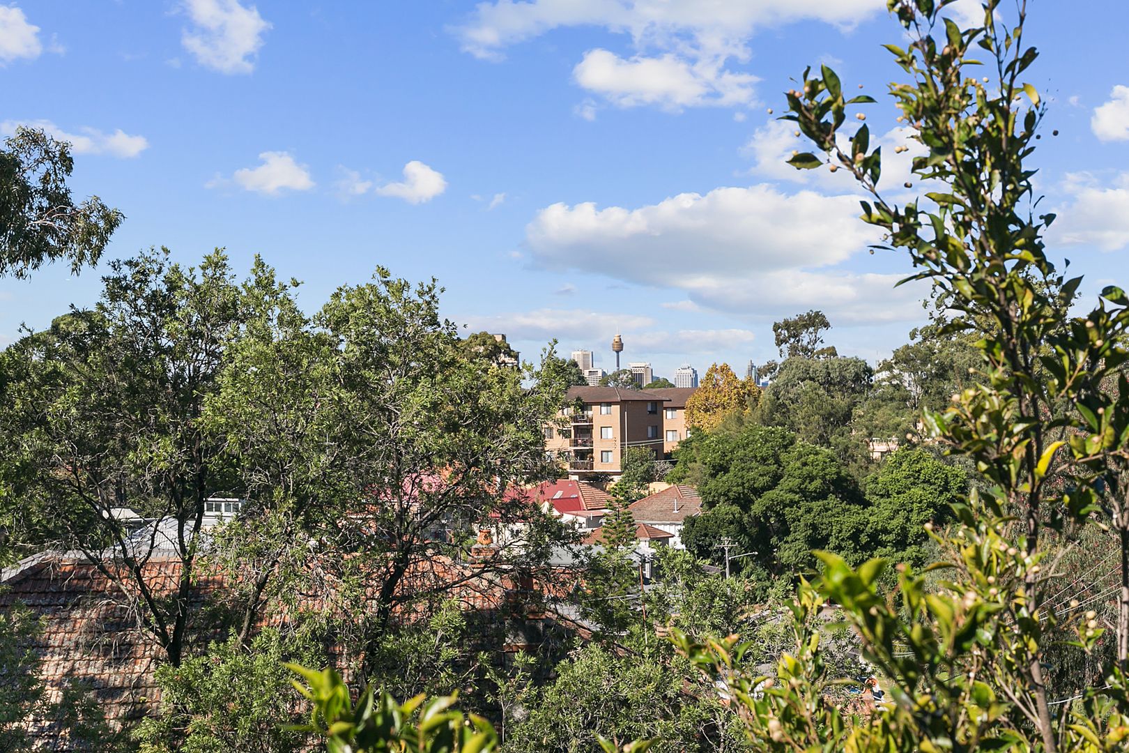 79/47 Lithgow Street, St Leonards NSW 2065 Apartment For Rent Domain