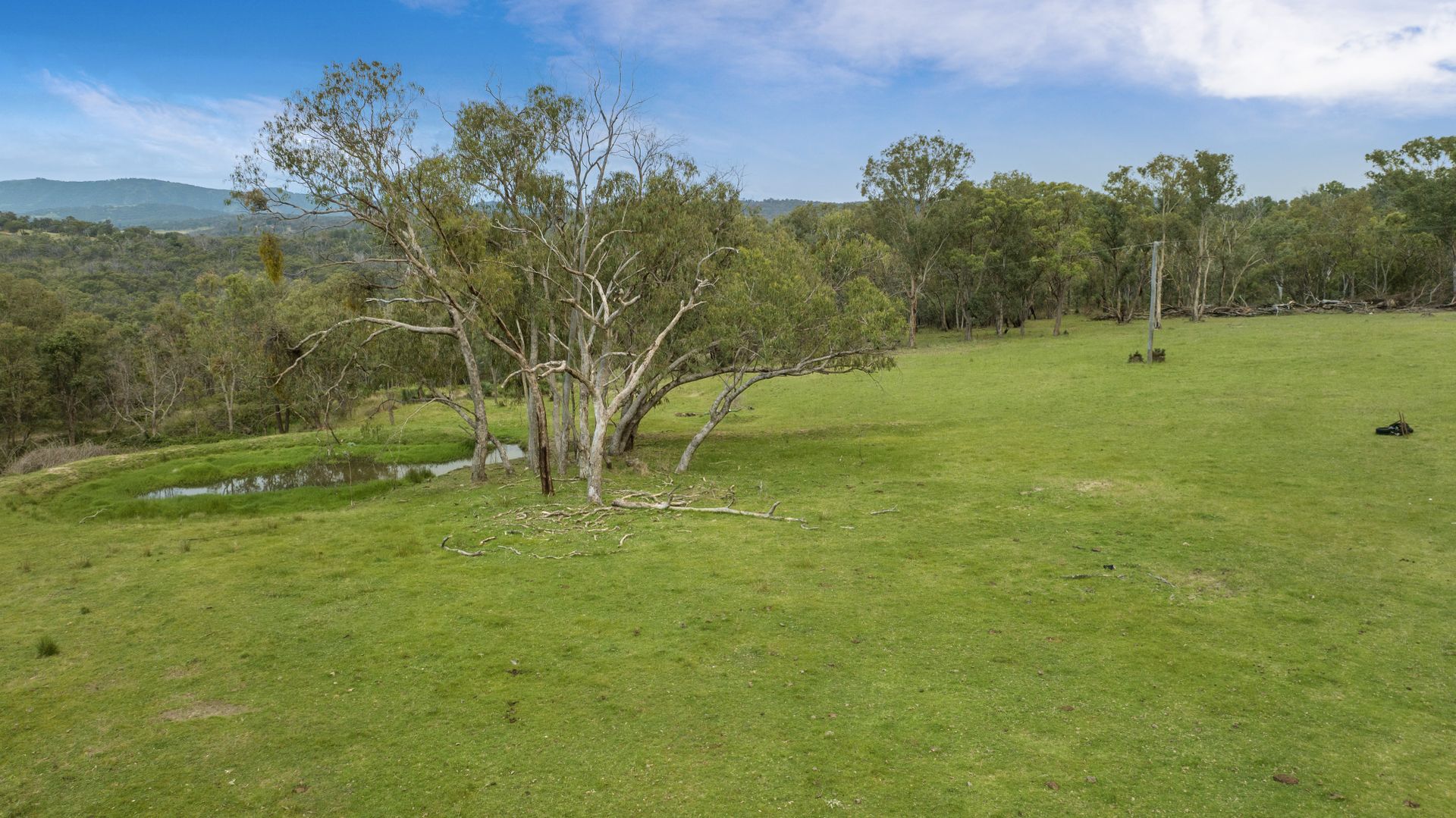 1692 New England Gully Road, Moonbi NSW 2353 Specialist Farm for Sale