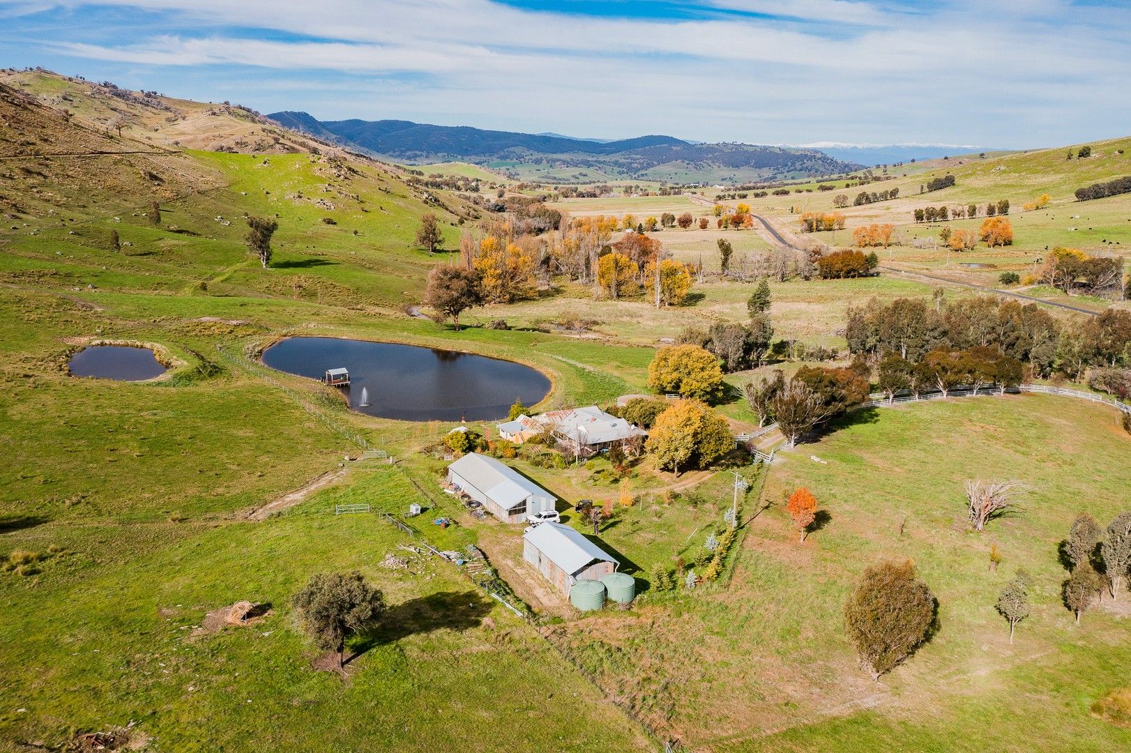 4 bedrooms Rural in Tombonda Munderoo-Ournie Road TUMBARUMBA NSW, 2653