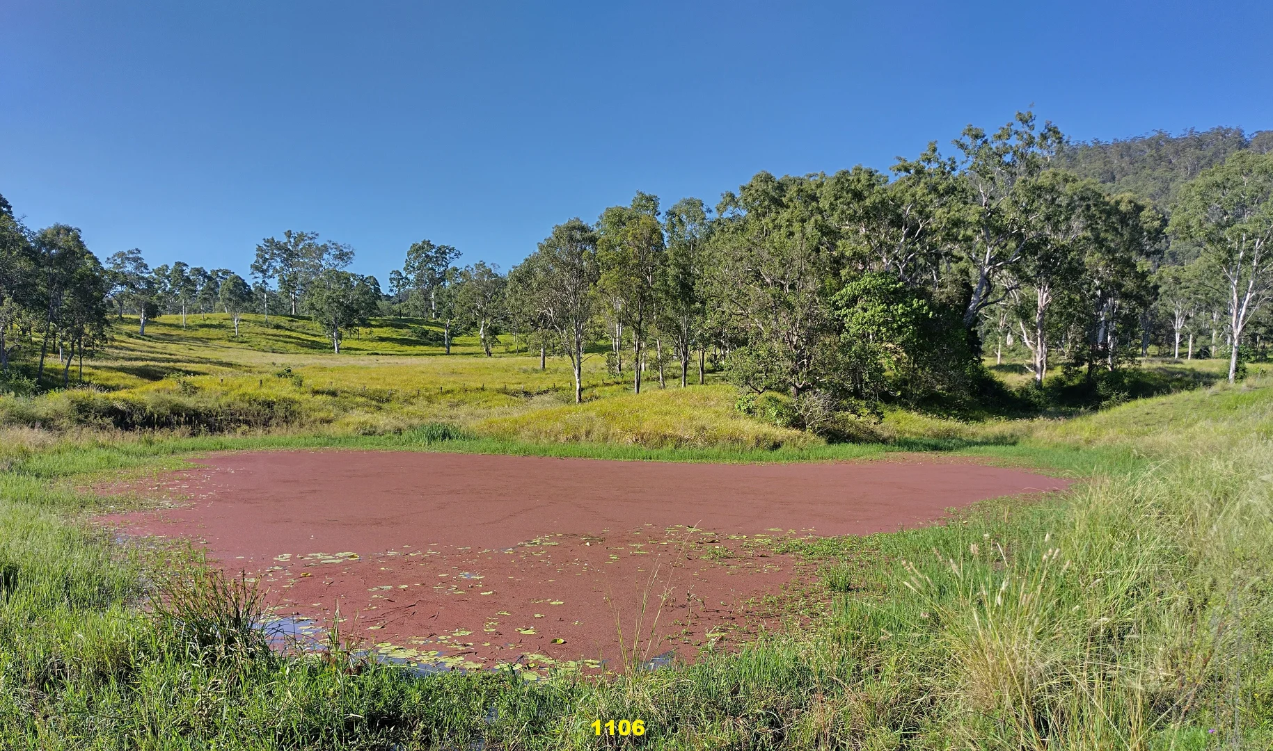 Image 22