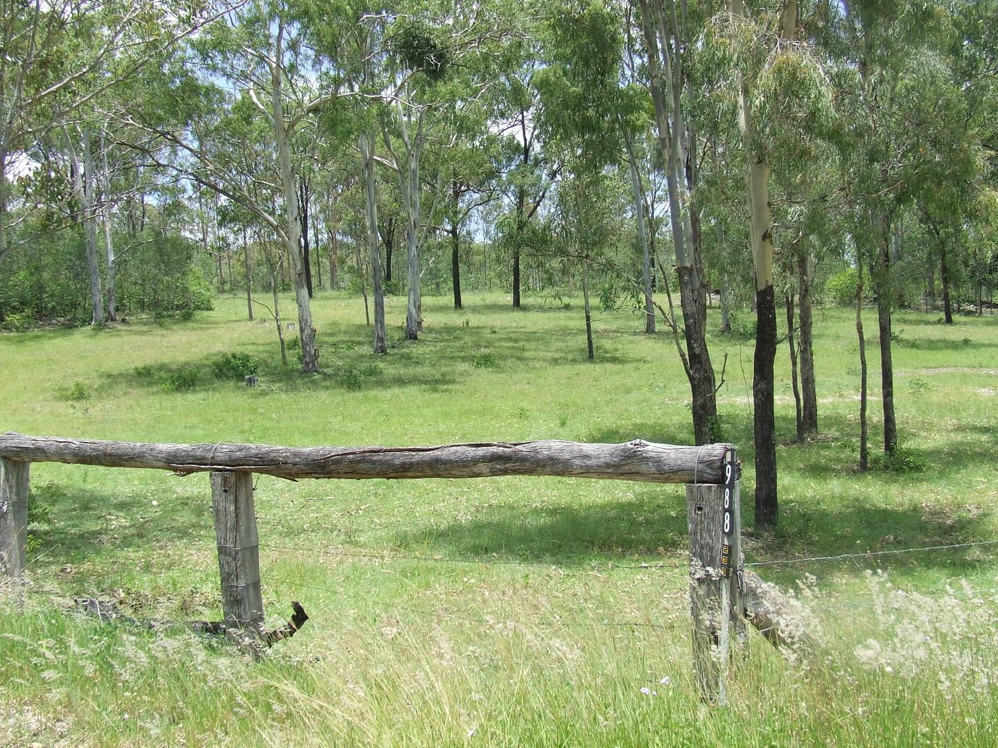 978 Tablelands Road, Horse Camp QLD 4671, Image 2
