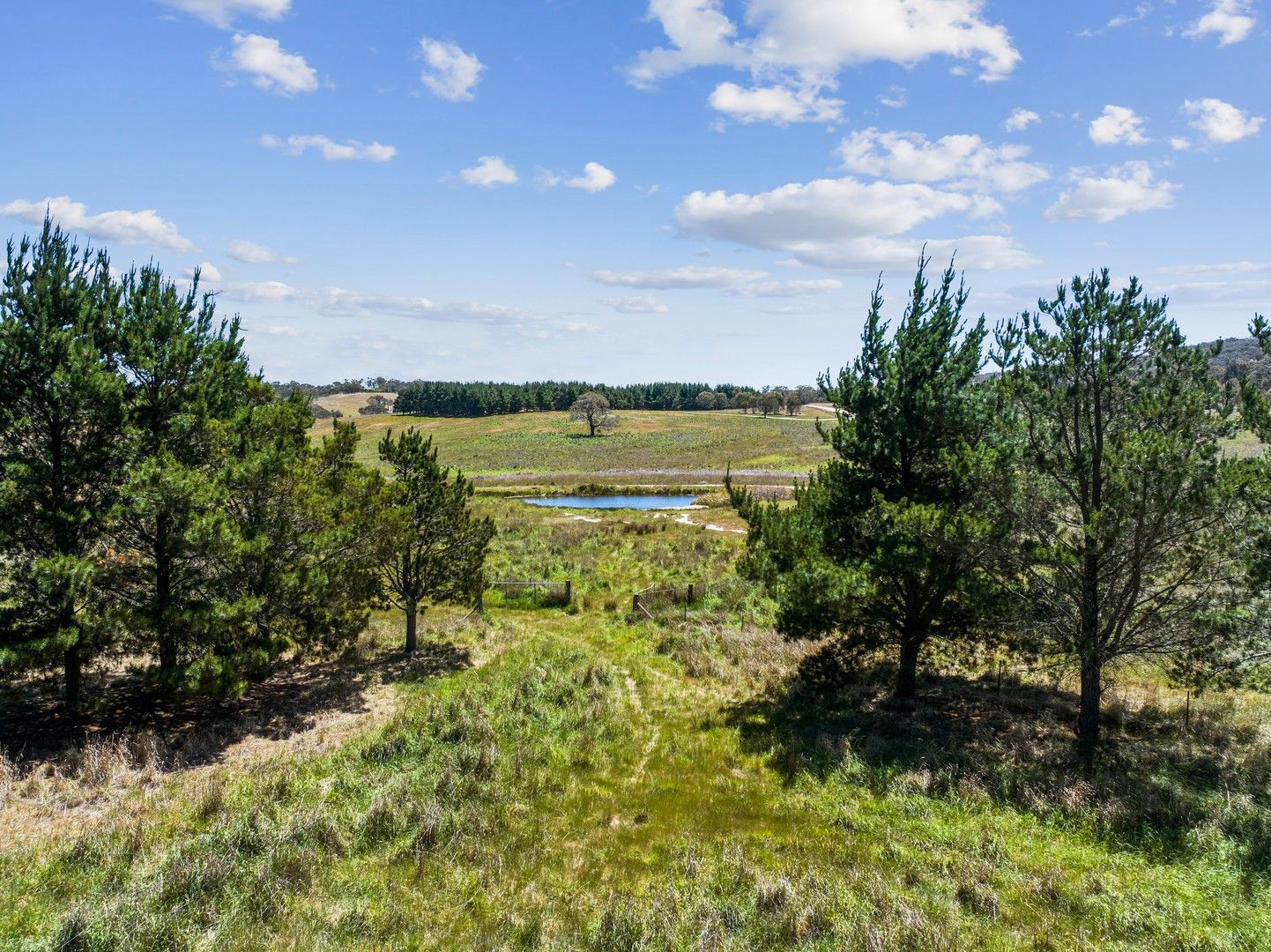 Lot 155 Berrebangelo Lane, Gunning NSW 2581 House for Sale Domain