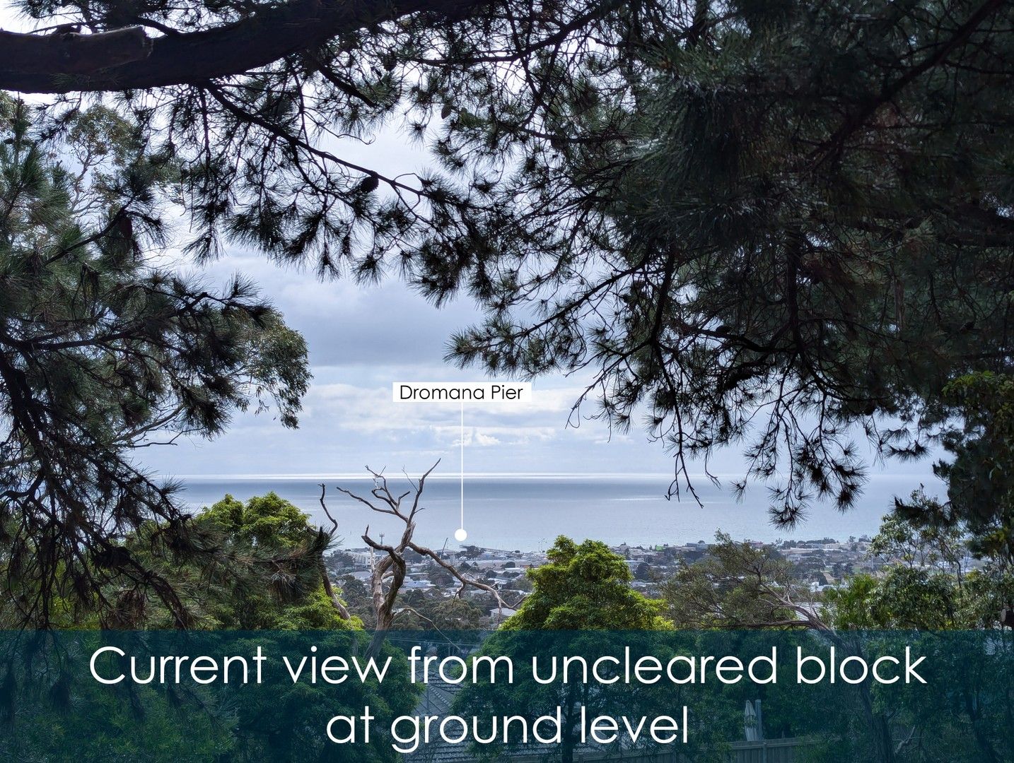 Vacant land in 12 Rock Gardens, DROMANA VIC, 3936
