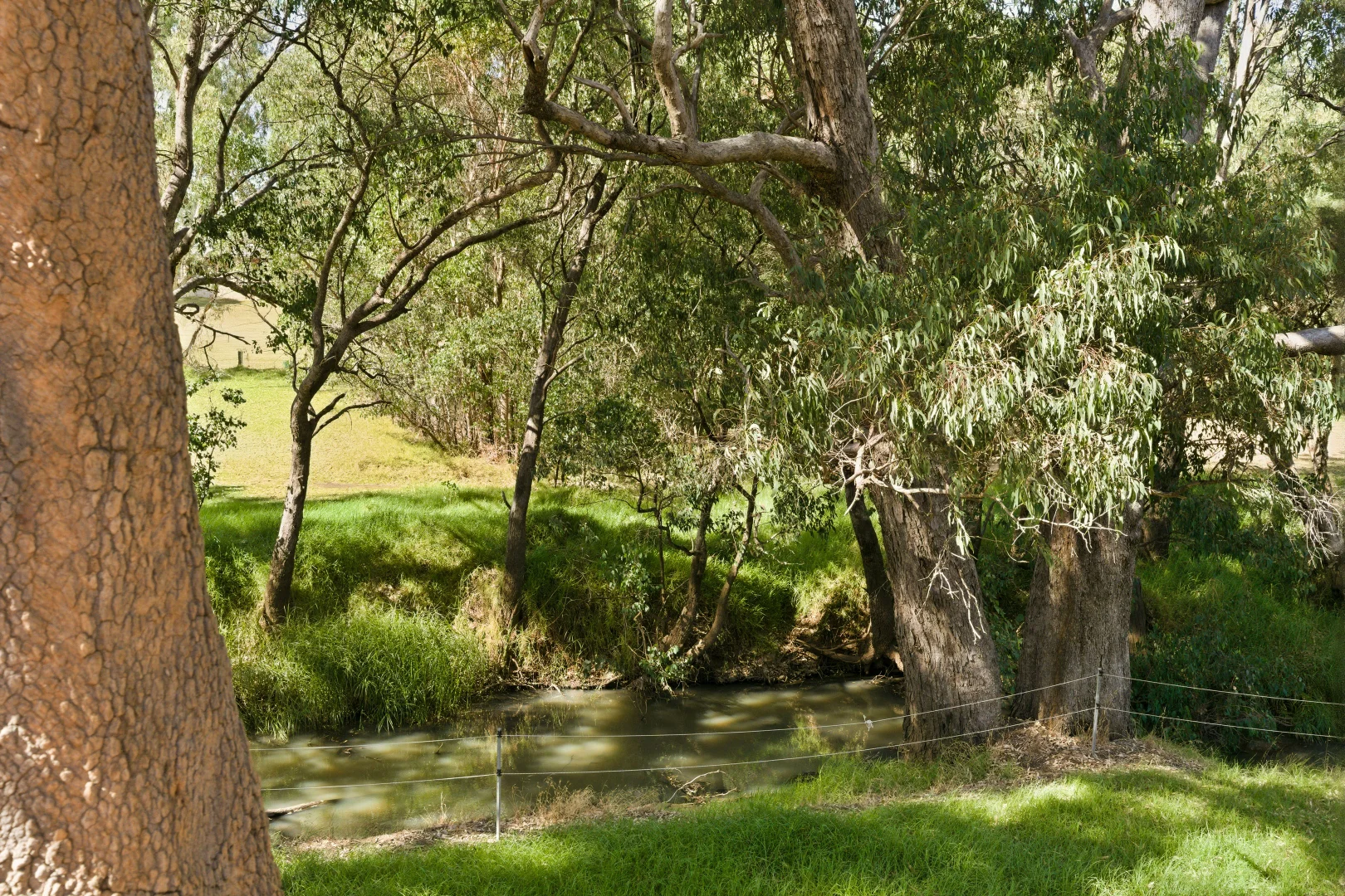 Additional image 8 of 19 Dunkley Road, Capel WA 6271