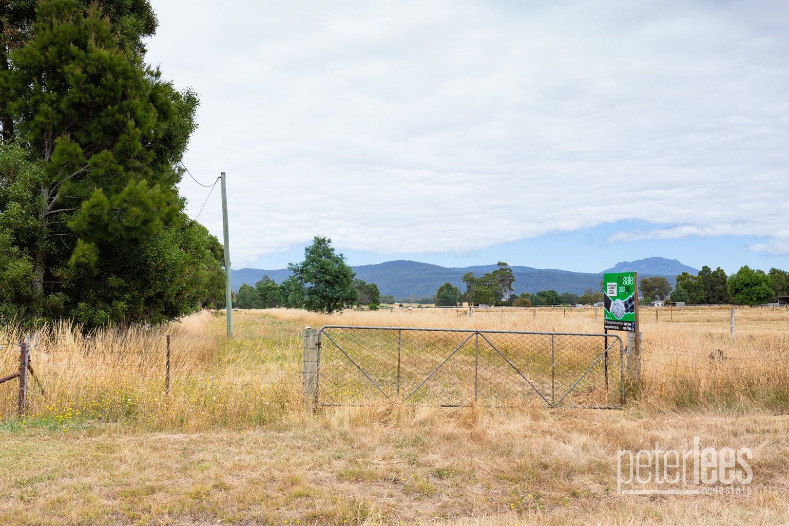 "177" Moore Street, Westbury TAS 7303, Image 0