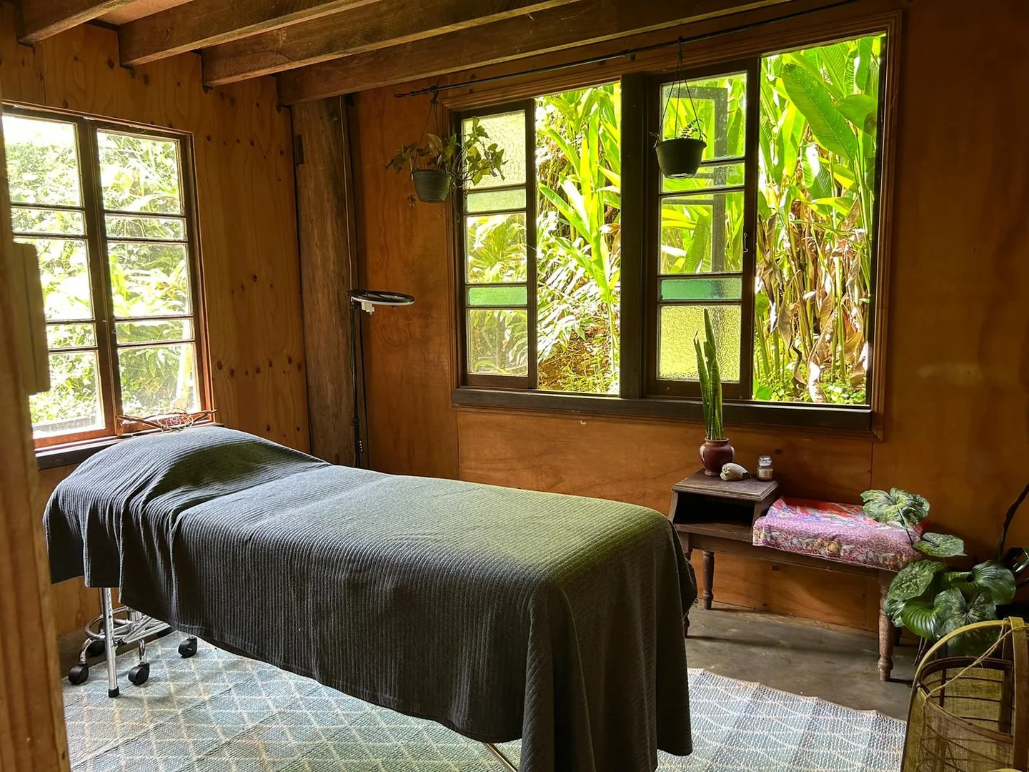 Additional image 27 of 173 BOYETT ROAD, Mission Beach QLD 4852