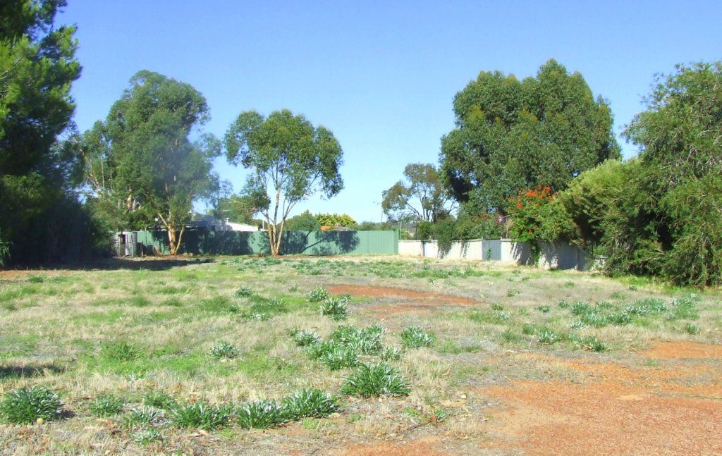 21 Gaynor Street, Brookto Property History & Address Research Domain