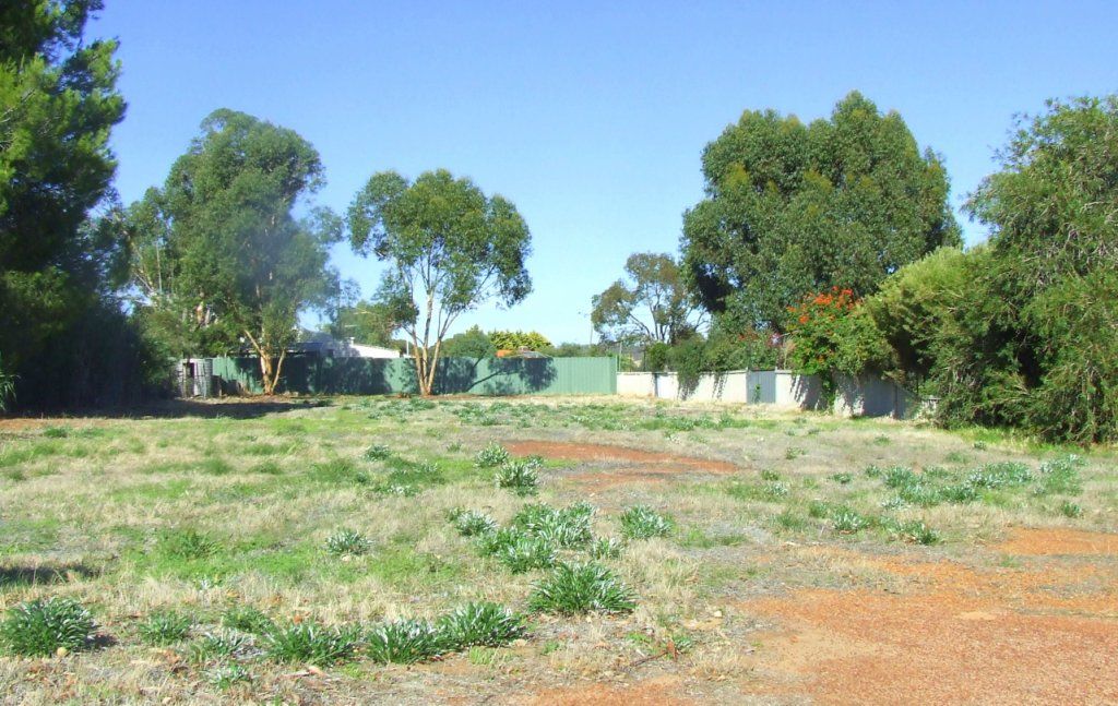 21 Gaynor Street, Brookton WA 6306