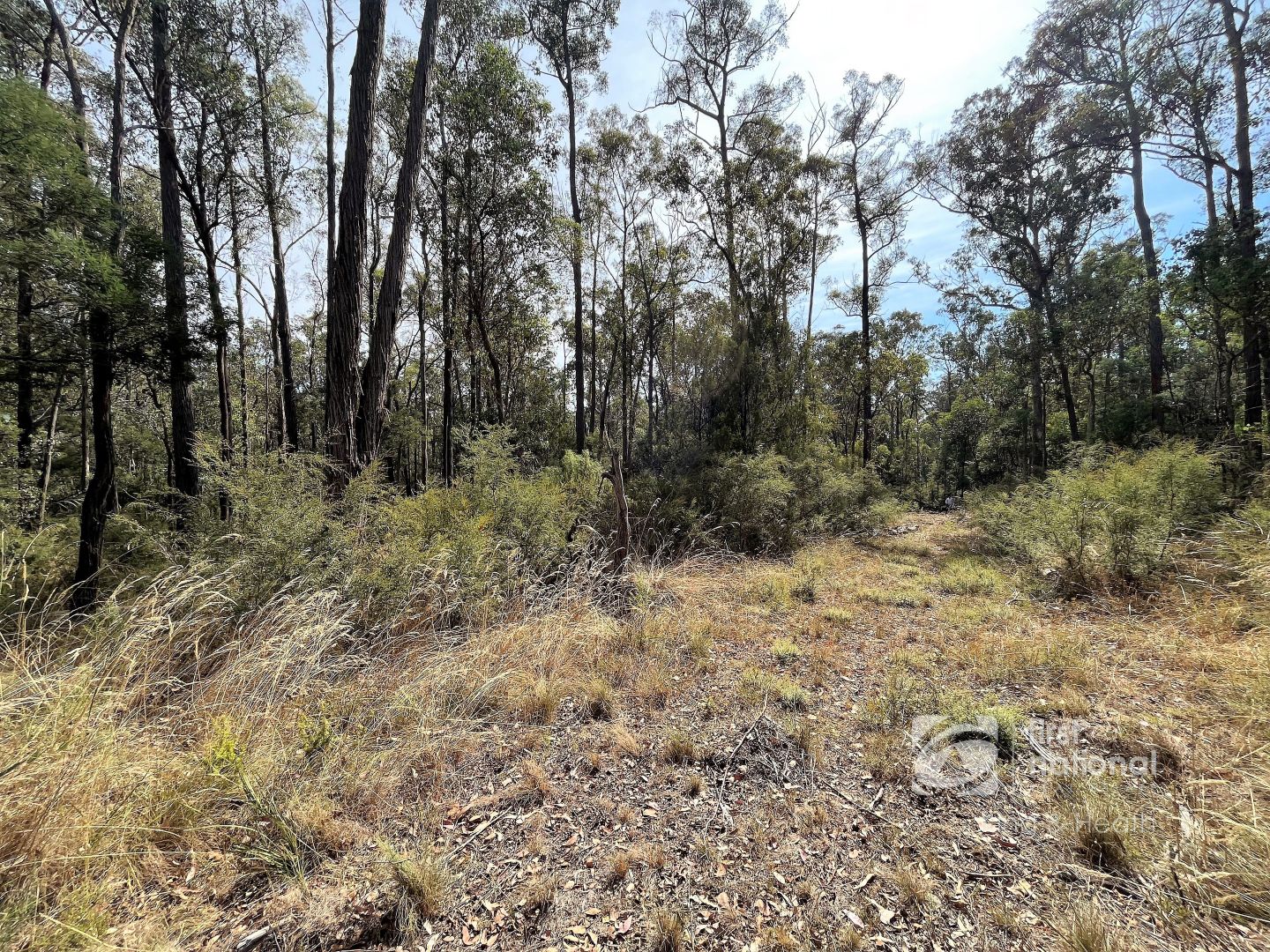 87 Kirley Drive, Bruthen VIC 3885 Vacant Land for Sale 275,000
