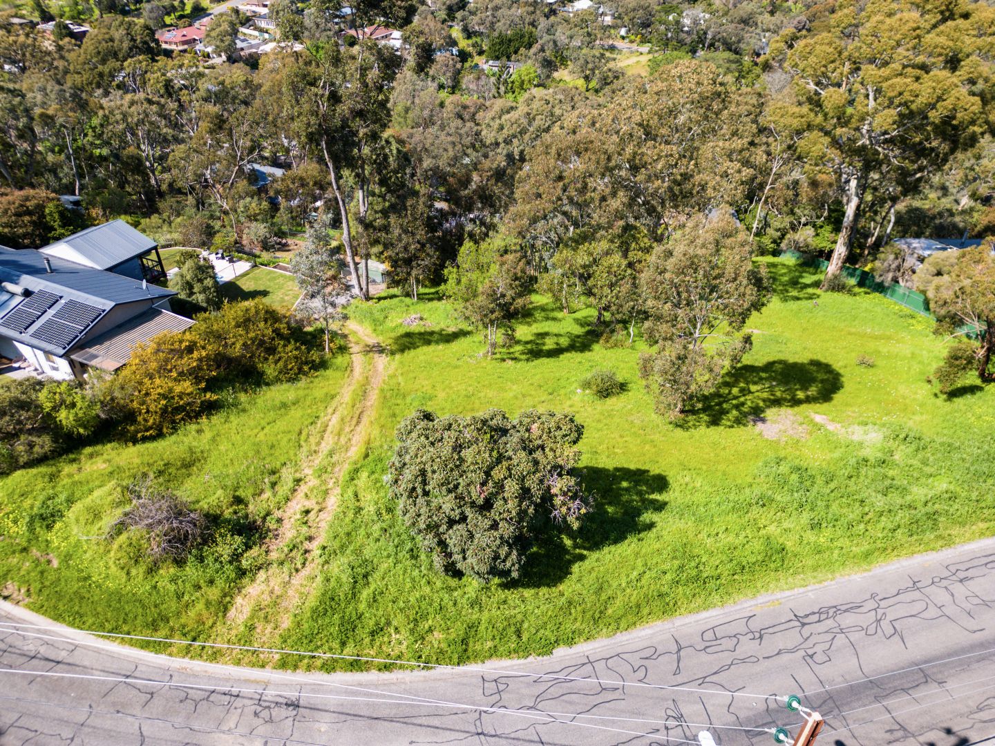 13 Craiglee Drive, Coromandel Valley SA 5051 Domain