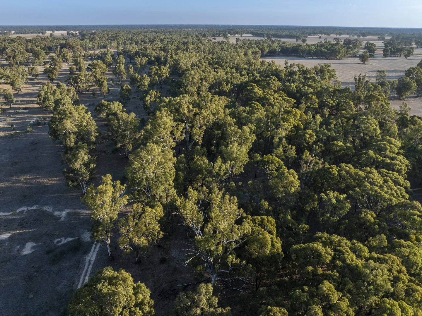 Additional image 36 of 610 Ulupna Bridge Road, Ulupna VIC 3641