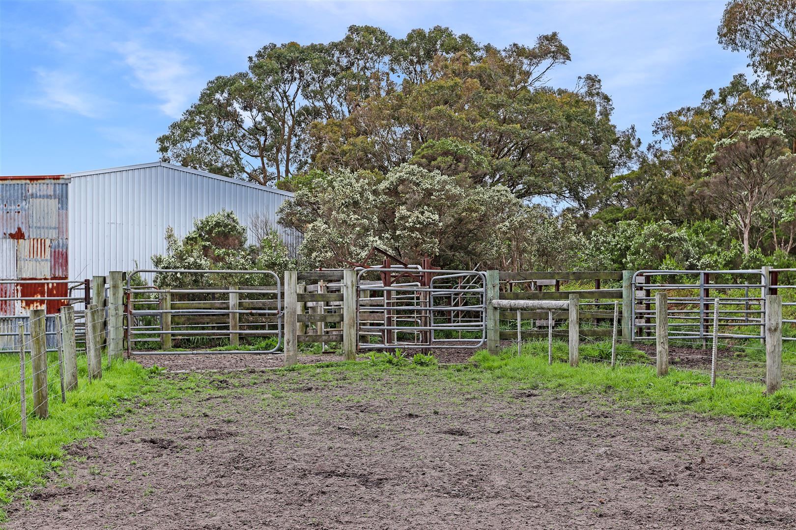 Lot 1 Scott Road, Buffalo VIC 3958, Image 1