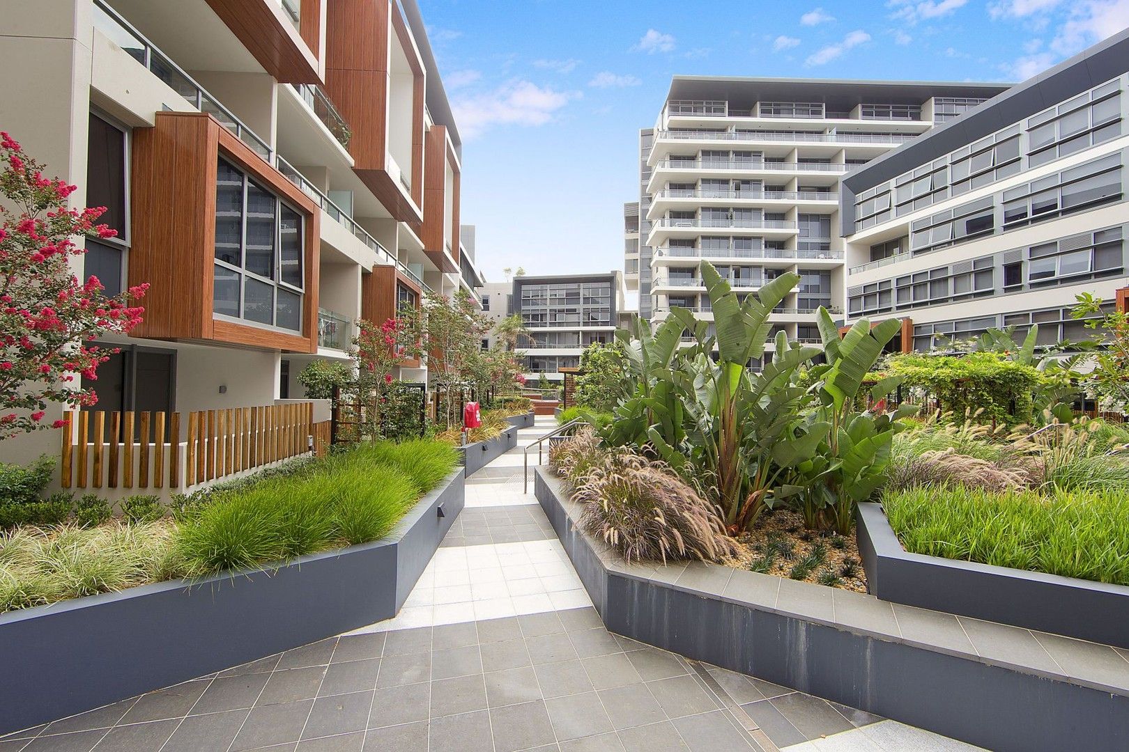 1 bedrooms Apartment / Unit / Flat in 64/6 Archibald Avenue WATERLOO NSW, 2017