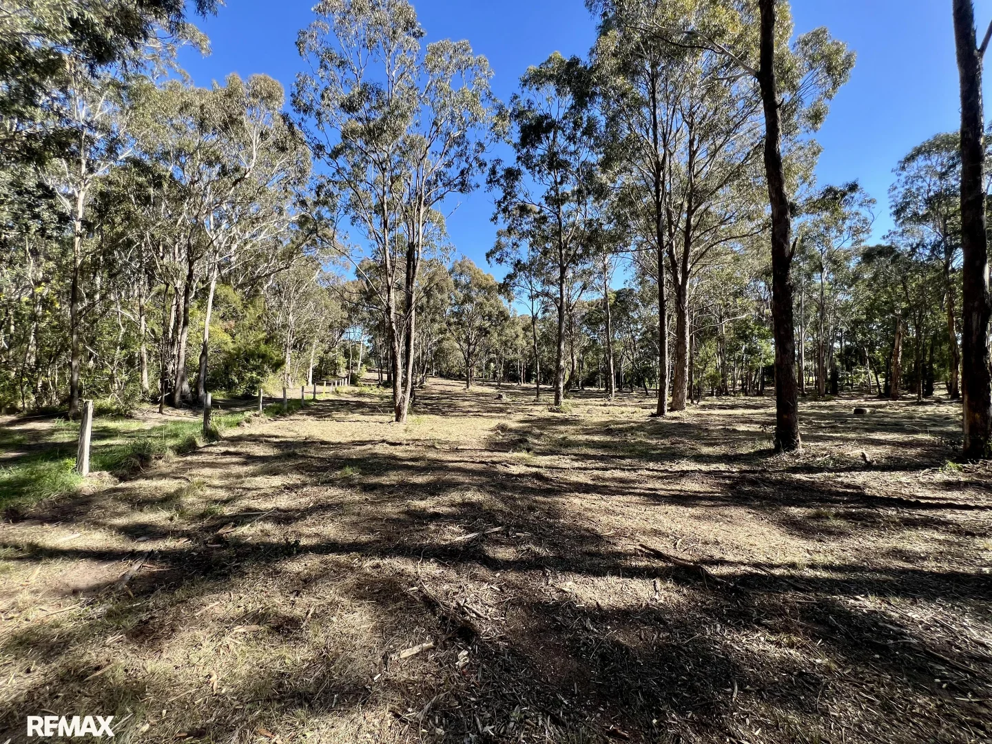 Image 13