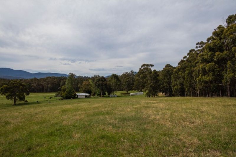55 Hadfield Road, Cann River VIC 3890, Image 1