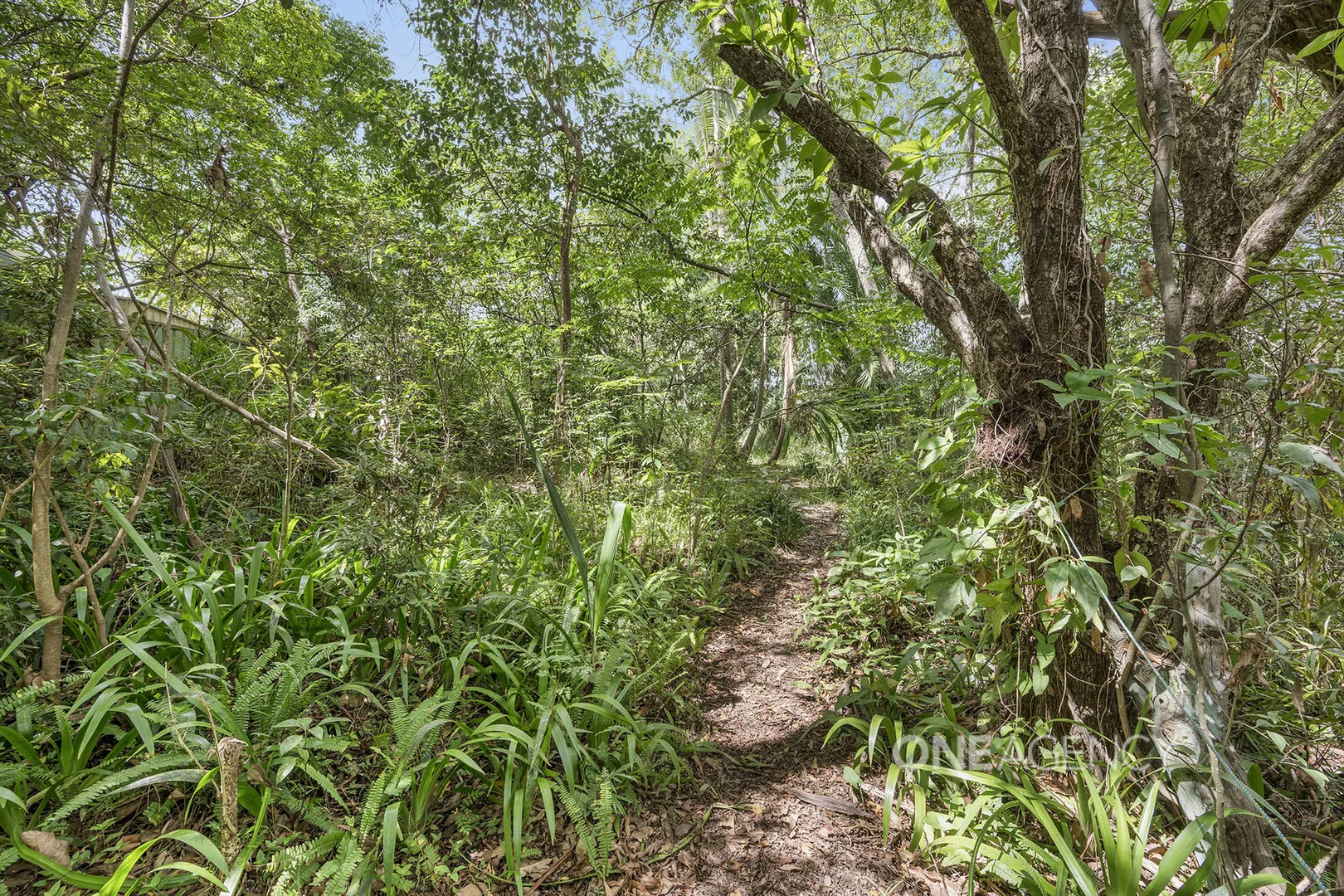 Additional image 17 of 117 High Street, Wauchope NSW 2446