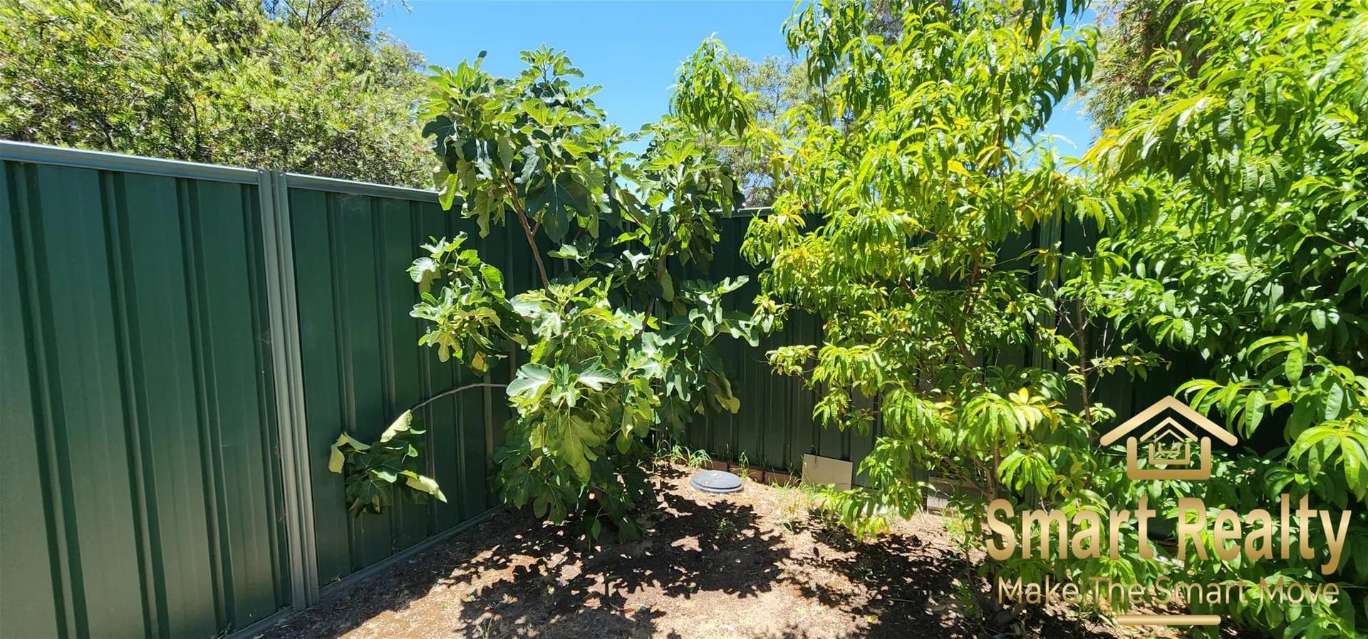 Image 20