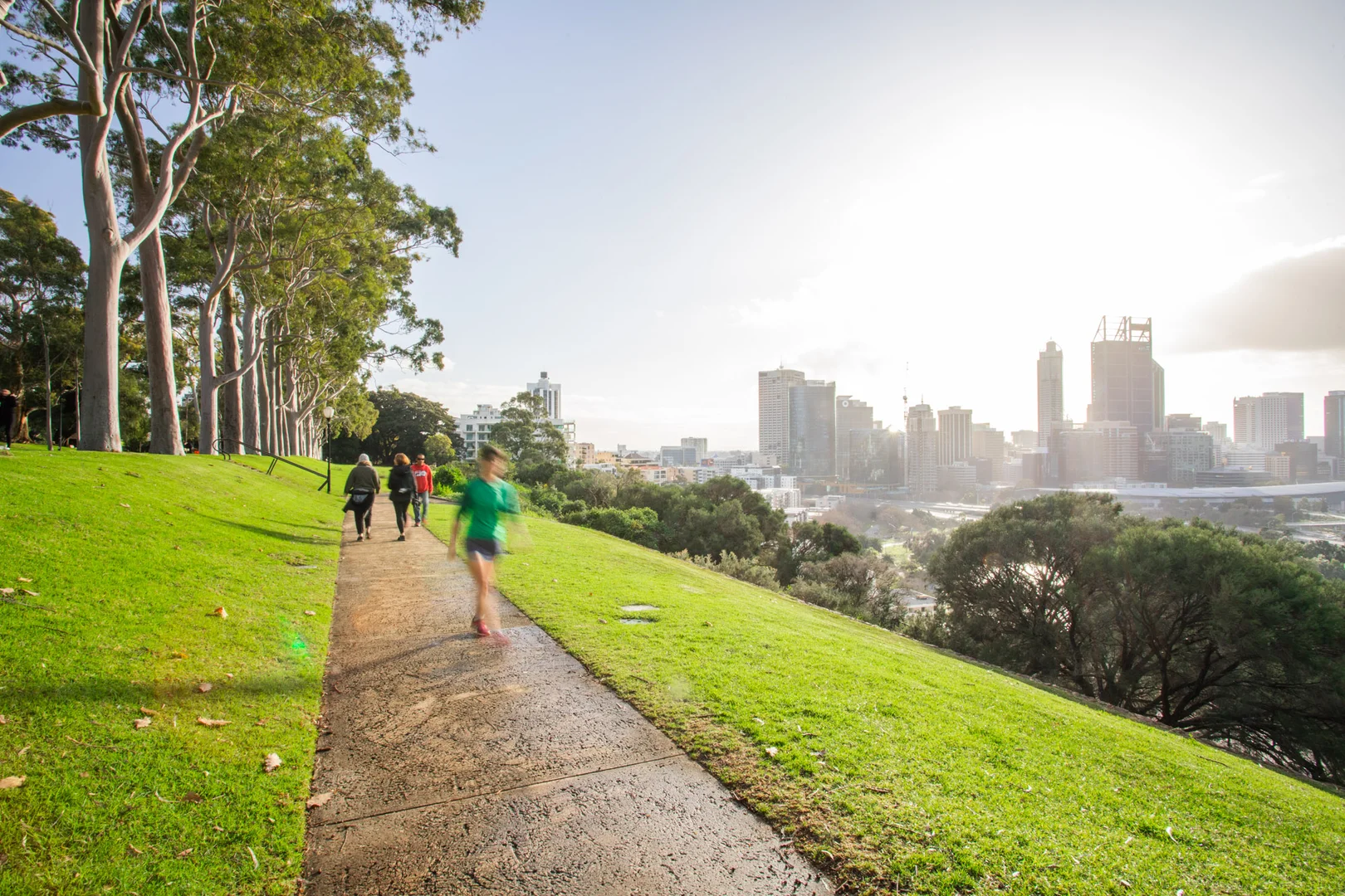 Additional image 24 of 909 / 659 Murray Street, West Perth WA 6005