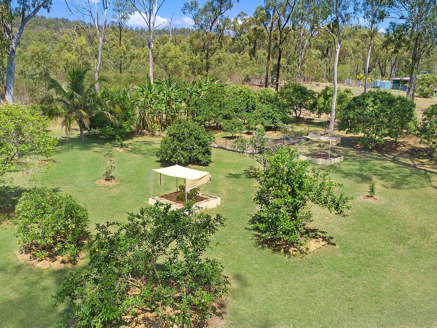 20 Murray Lane, Cawarral QLD 4702, Image 1