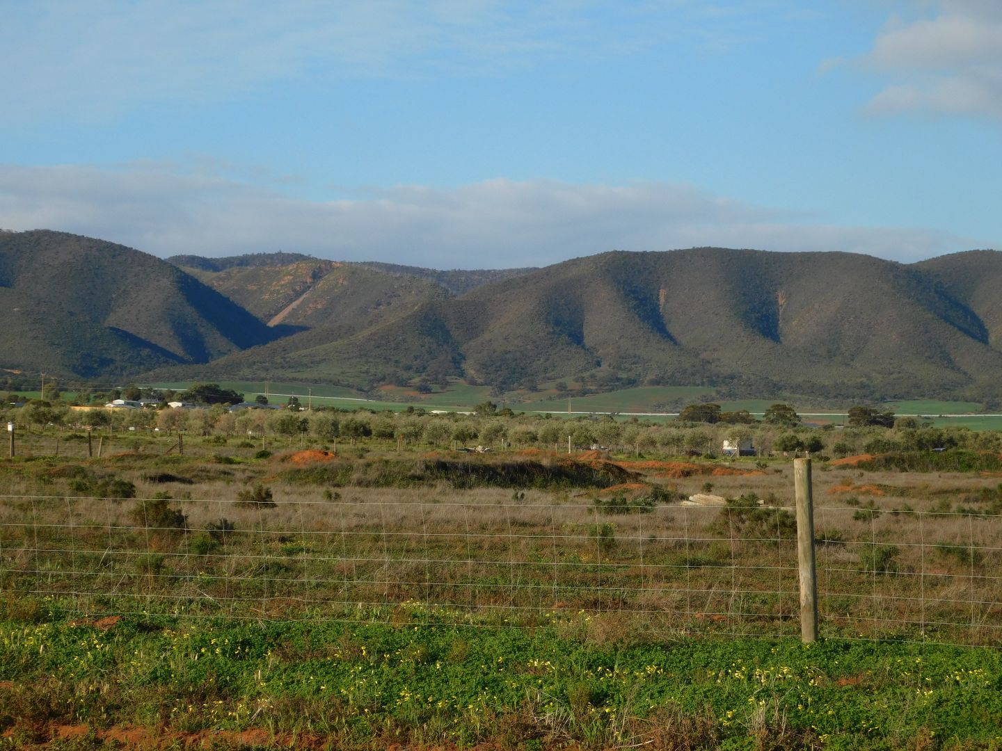 Allotment 103 Jericho Road, Napperby SA 5540, Image 1