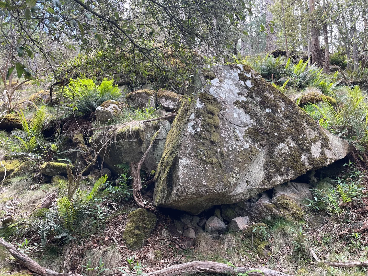 Additional image 17 of 420 Springhill Bottom Road, Colebrook TAS 7027