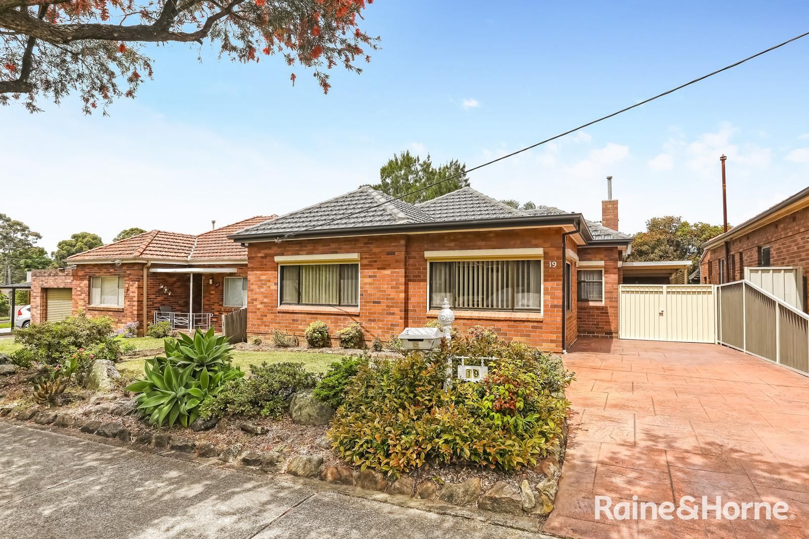 19 Paxton Avenue, Belmore NSW 2192, Image 0