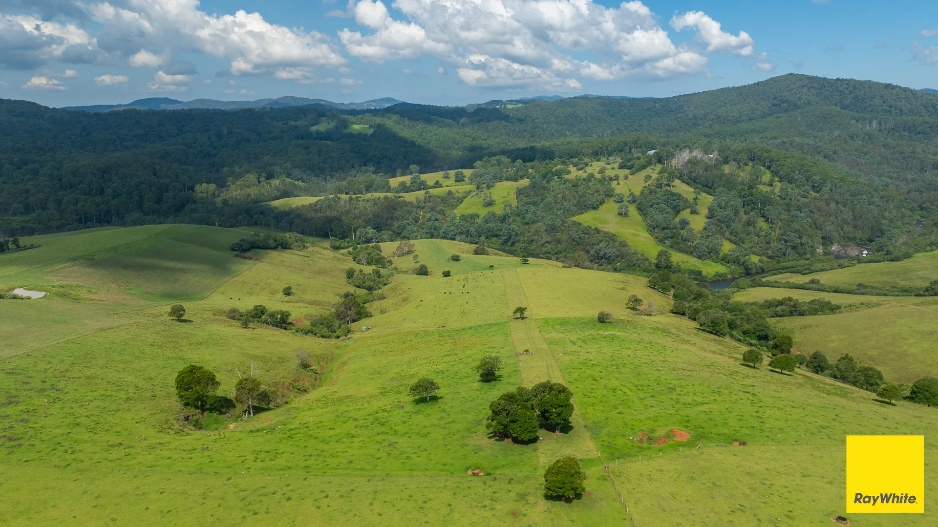 Additional image 31 of 262 Snows Road, Dorrigo NSW 2453