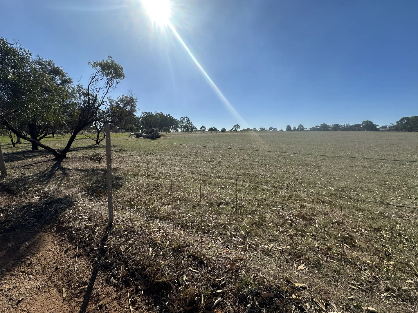Image 11