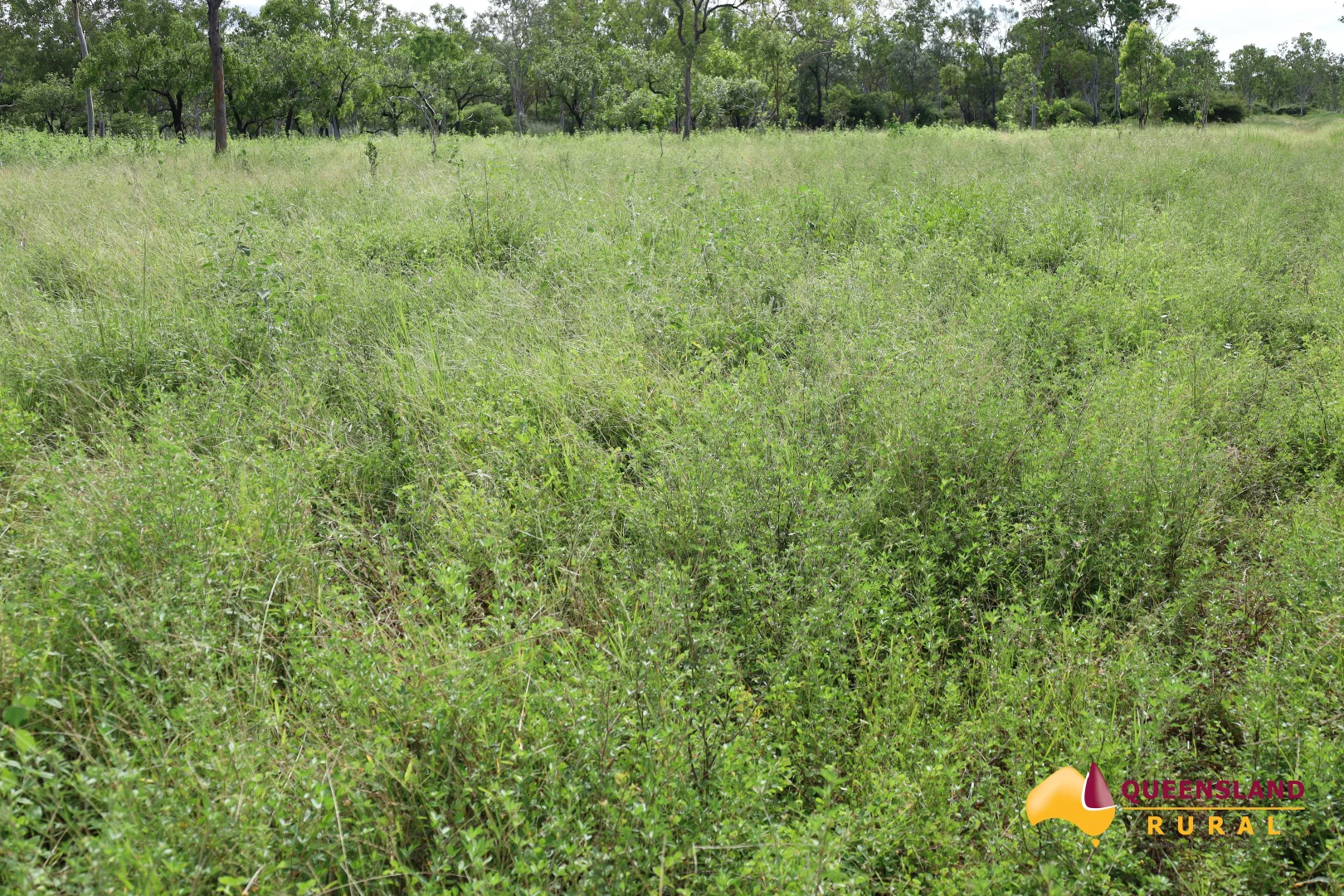 Additional image 15 of Ayr QLD 4807