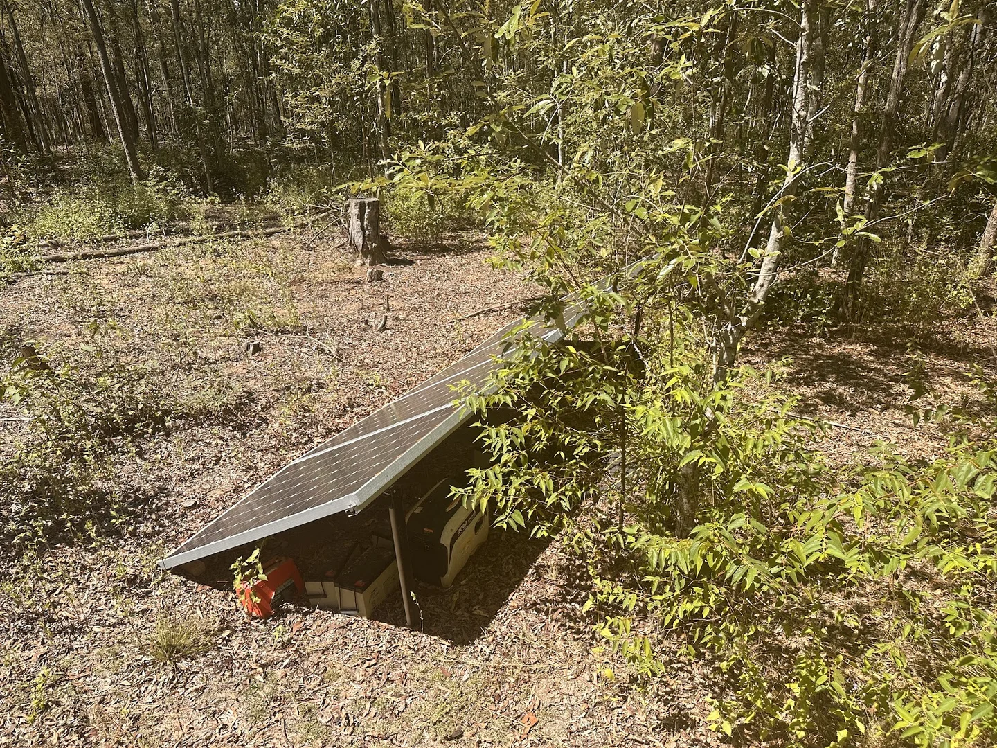 Additional image 23 of 289 Mount Mulgowie Road, Buaraba QLD 4311