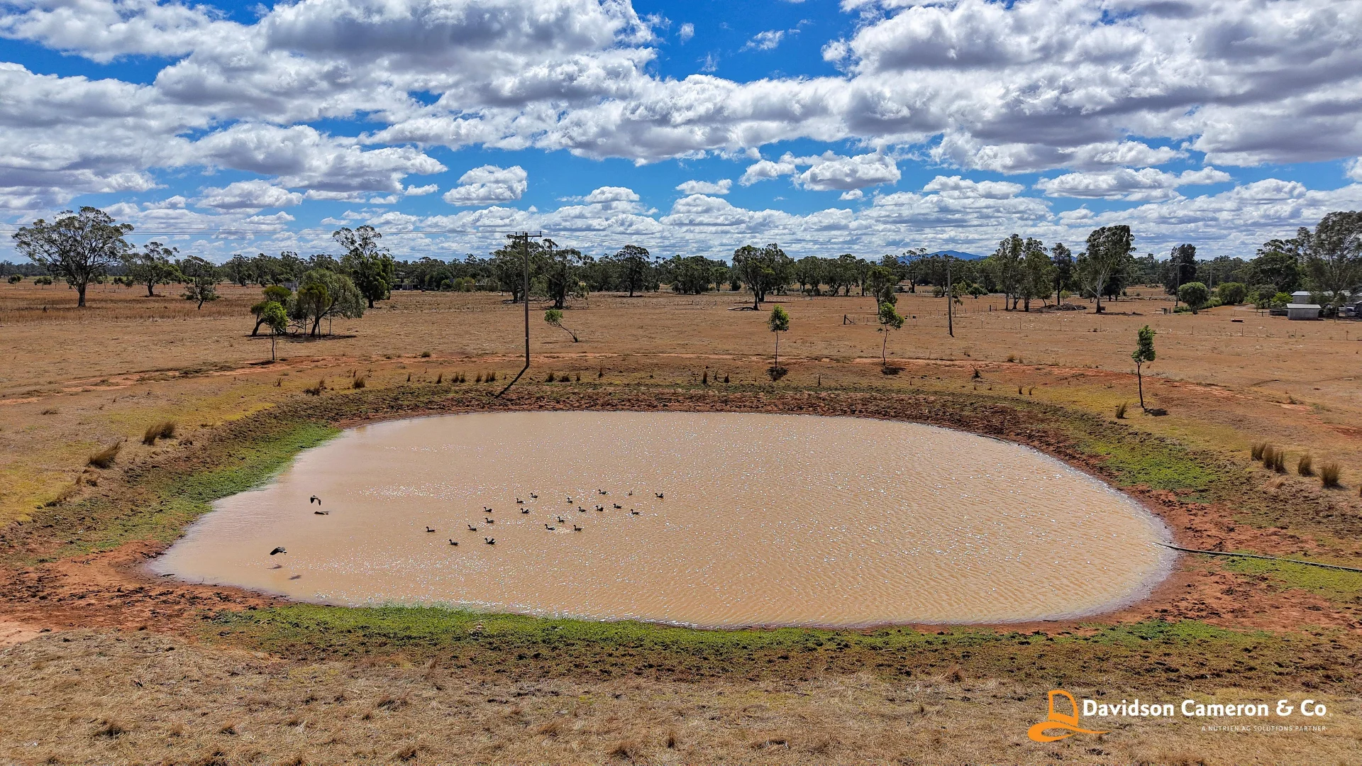 Additional image 16 of "Grovewood" 10221 Kamilaroi Highway, Gunnedah NSW 2380