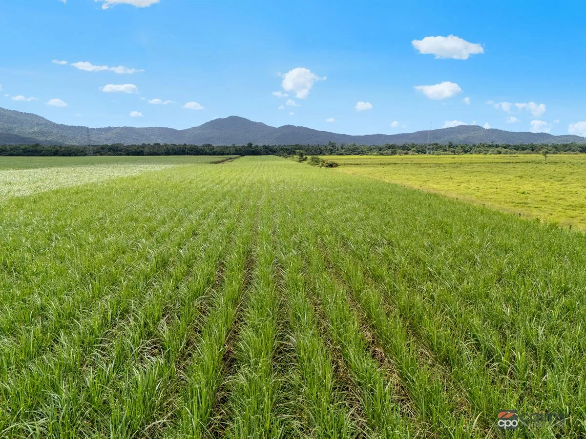 Additional image 6 of 101 Bruce Highway, Bellenden Ker QLD 4871