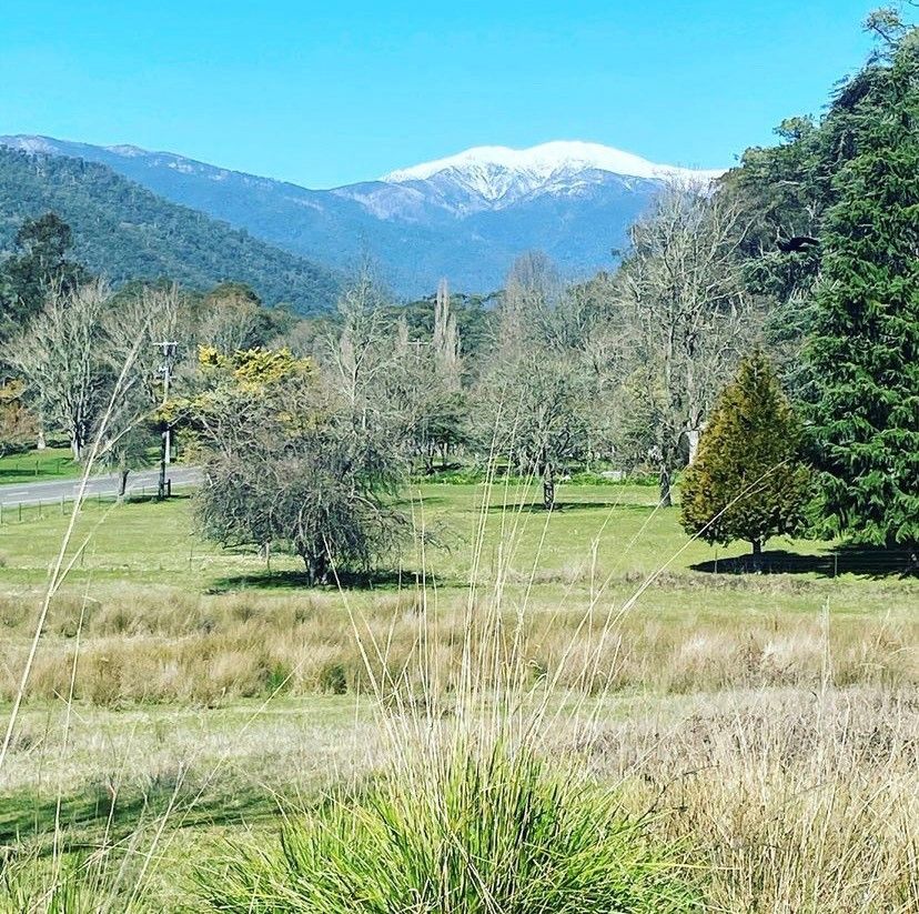 CA 42A Great Alpine Road, Freeburgh VIC 3741, Image 1