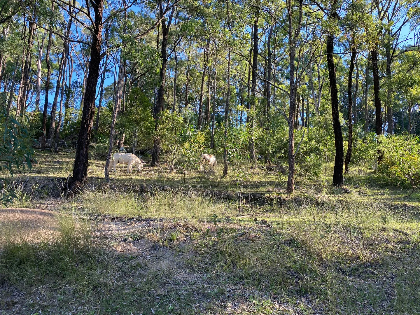 Additional image 17 of 3B Giles Road, Seaham NSW 2324