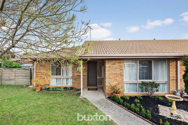 Picture of 5/3 McIntosh Court, ASPENDALE GARDENS VIC 3195