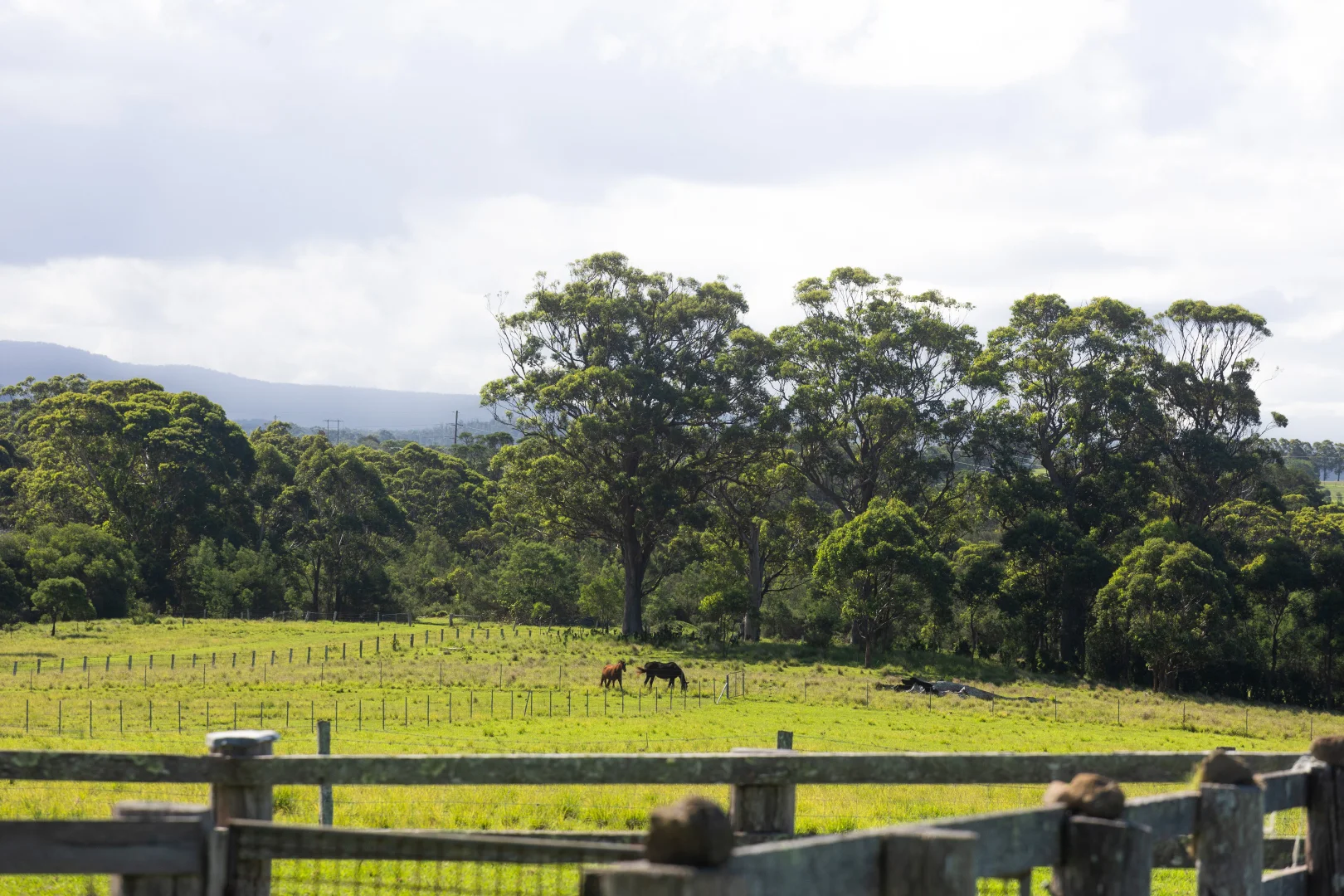 Additional image 24 of 24 Evans Lane, Woodstock NSW 2538