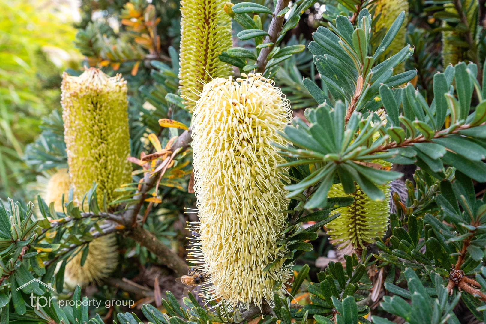 Additional image 35 of 44 Coolstore Road, Huonville TAS 7109