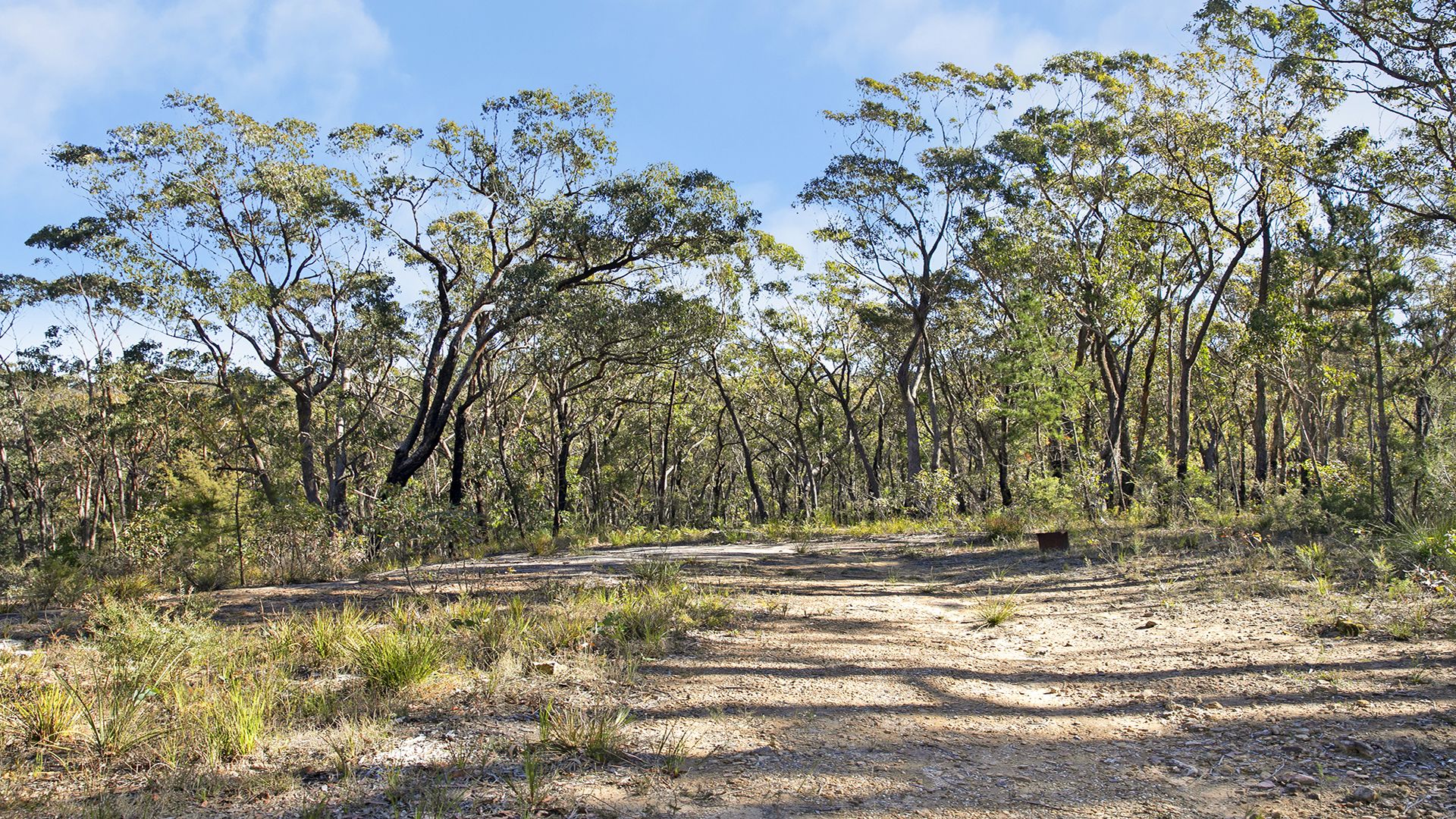 39 Tea Tree Crescent Hill Top NSW 2575 Vacant Land for Sale