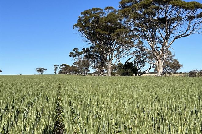 Picture of . Cadonia Park, CUNDERDIN WA 6407