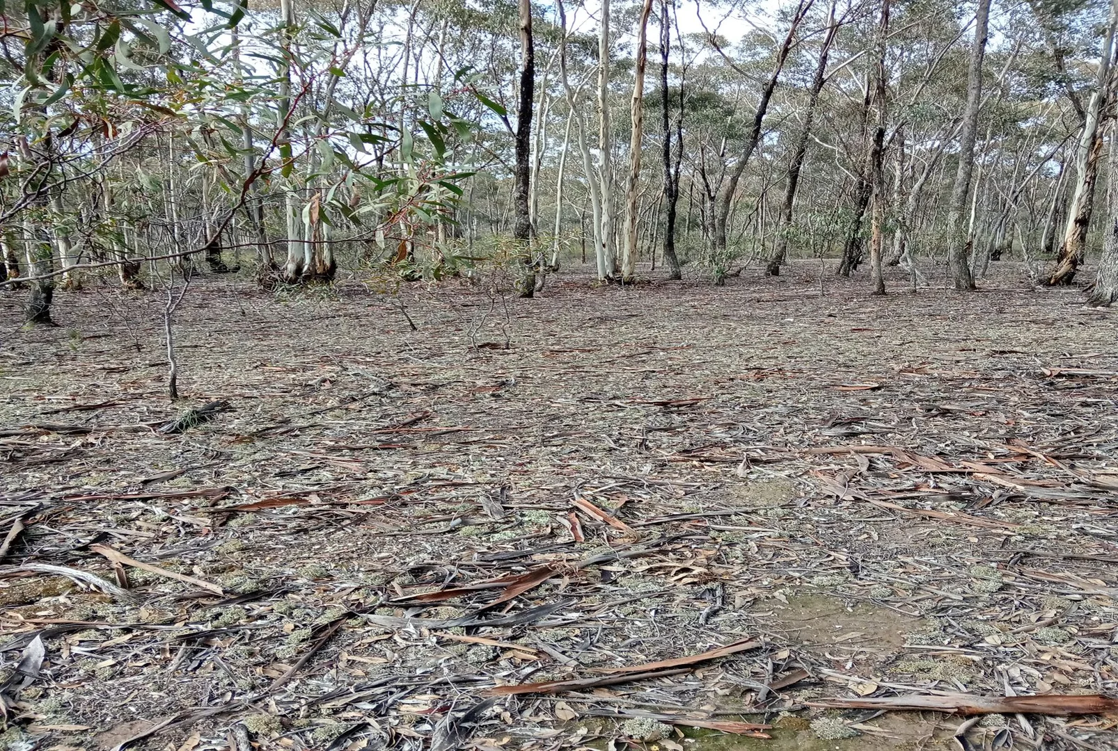 Image 11