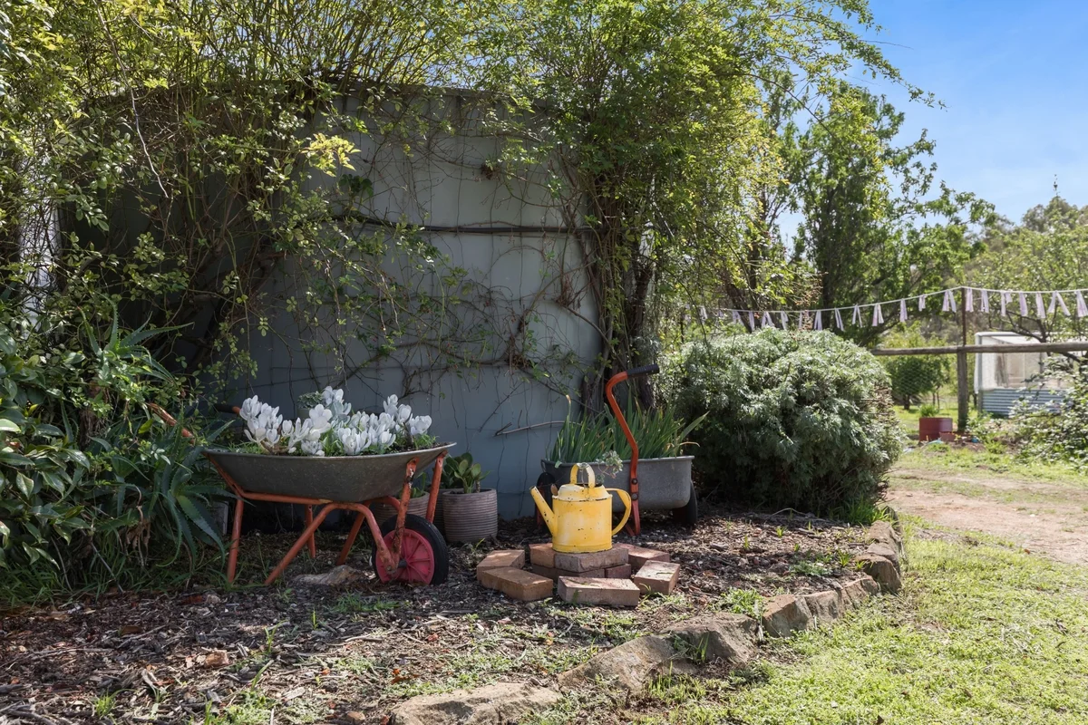 Image 15