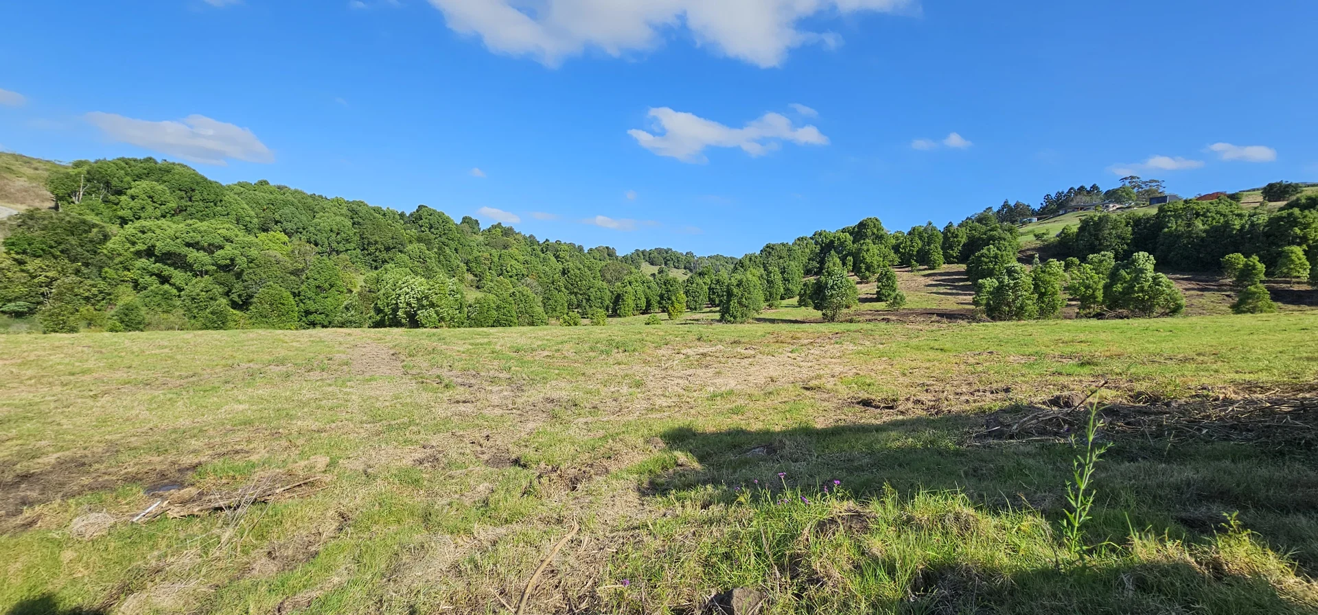 Additional image 4 of 11 Talbot Close, McLeans Ridges NSW 2480