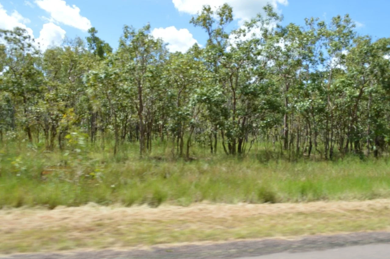 Additional image 4 of Lot 44 -20 Livingstone Road, Livingstone NT 0822